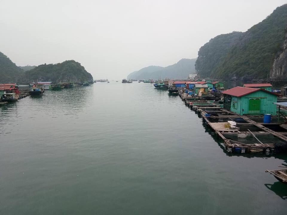 Cat Ba Daily Life Hotel Dong Khe Sau Экстерьер фото